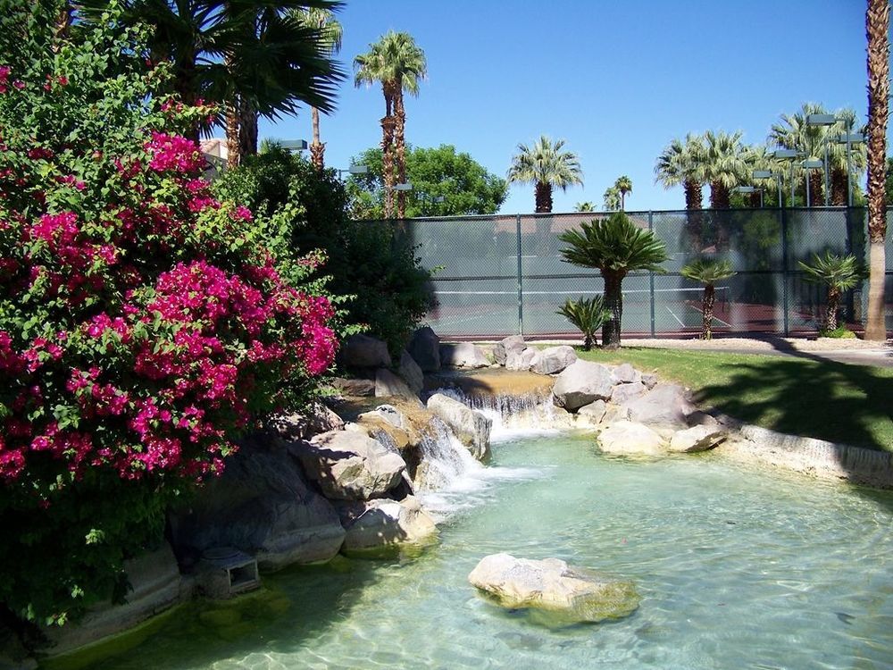 The Oasis Resort Palm Springs Fasilitas foto